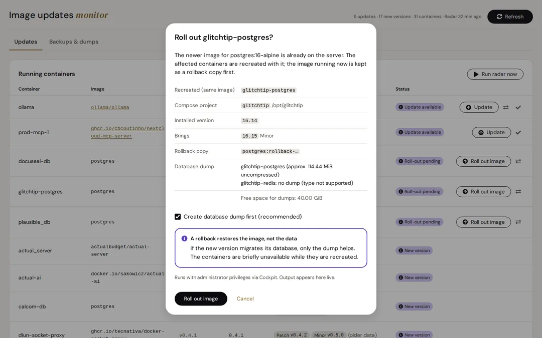 Der Plan vor einem Update: was neu erstellt wird, installierte und neue Version, Rollback-Kopie und Datenbank-Dump