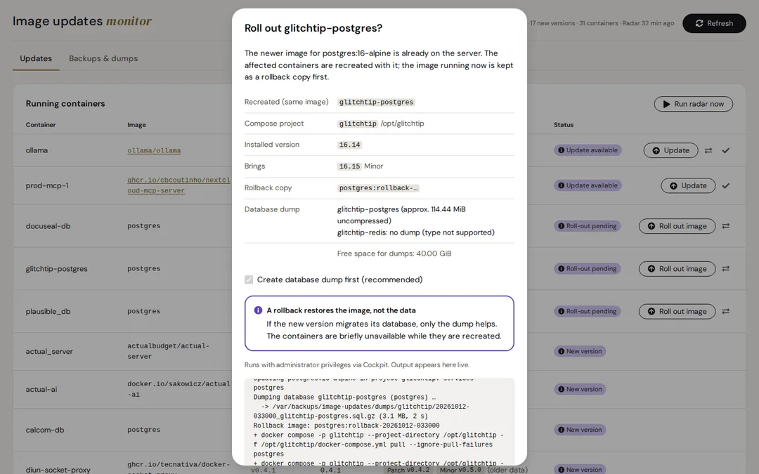 Ein laufendes Update: Datenbank-Dump, Rollback-Kopie und die Ausgabe von Docker Compose, live